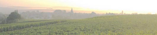 lever du soleil - Massif de Saint-thierry